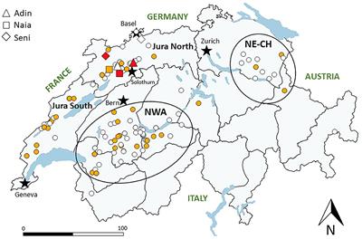 Management of Suspected Cases of Feline Immunodeficiency Virus Infection in Eurasian Lynx (Lynx lynx) During an International Translocation Program